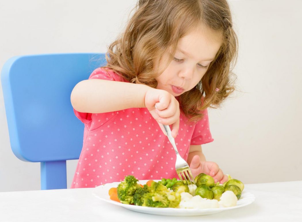 Mengahadapi Anak yang Susah Makan